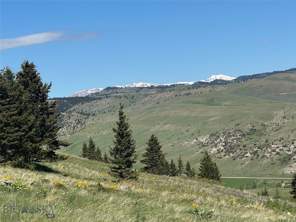 Yellowstone Basin Properties - Land