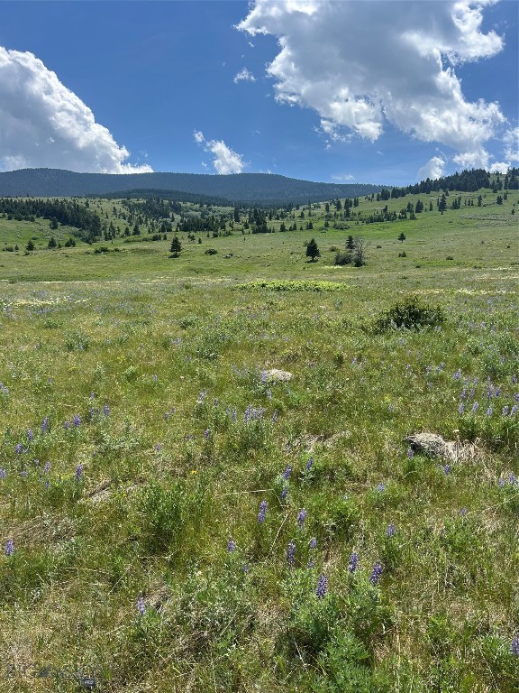 Yellowstone Basin Properties - Land