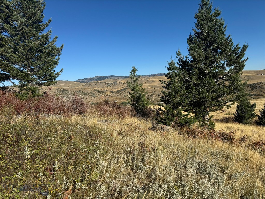 Yellowstone Basin Properties - Land