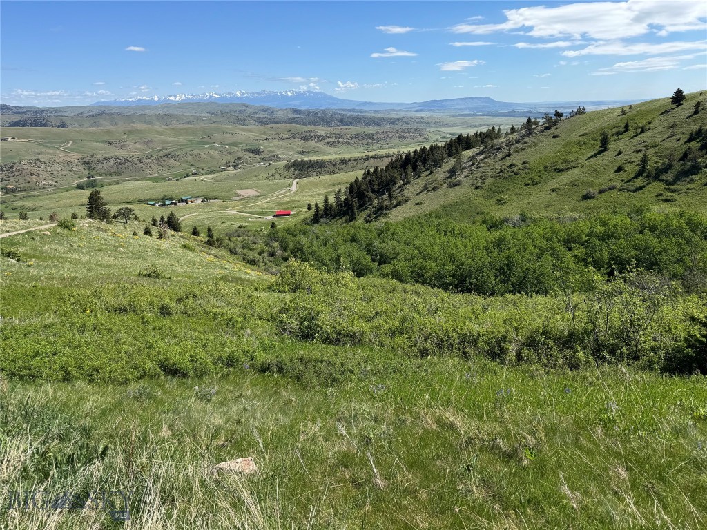 Yellowstone Basin Properties - Land