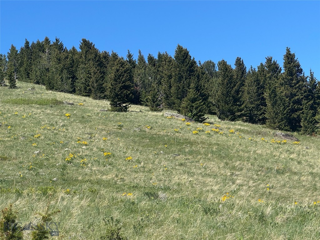Yellowstone Basin Properties - Land