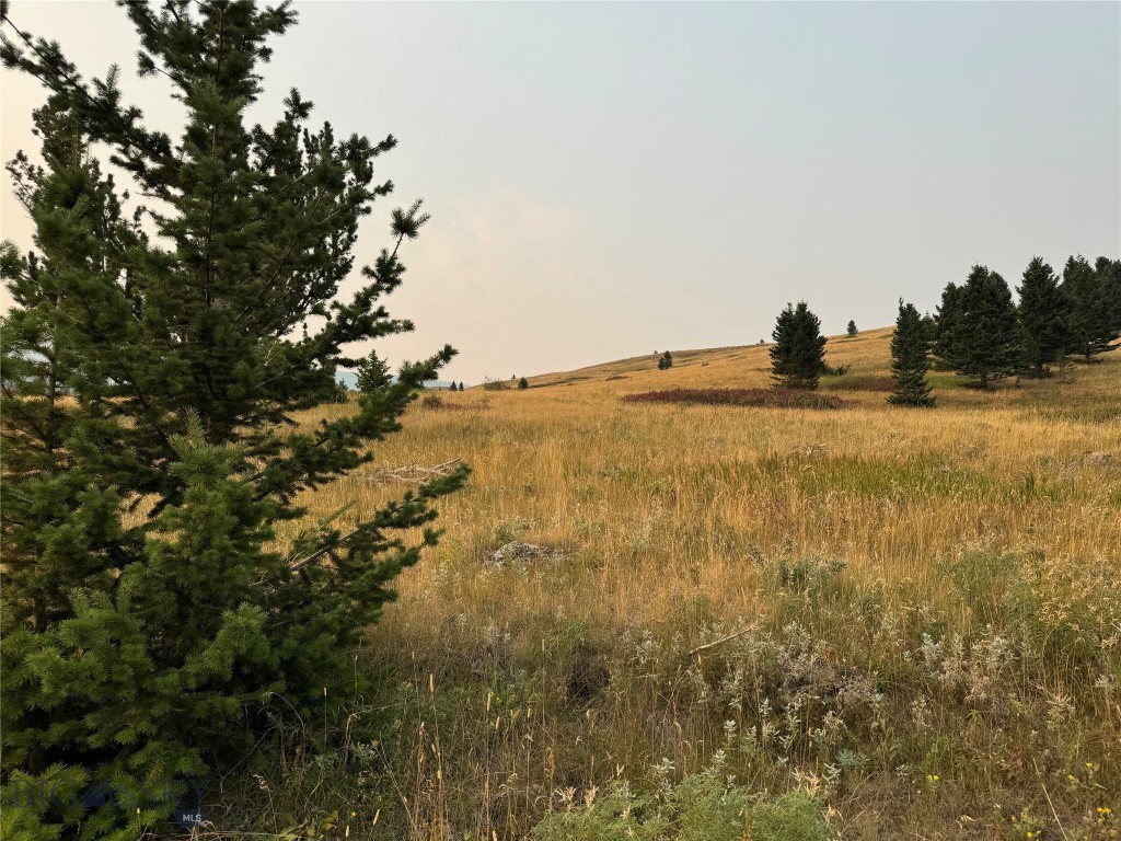 Yellowstone Basin Properties - Land