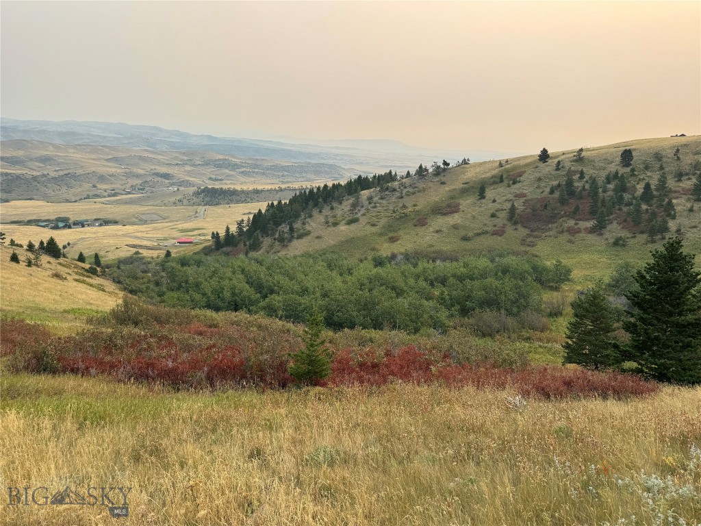Yellowstone Basin Properties - Land