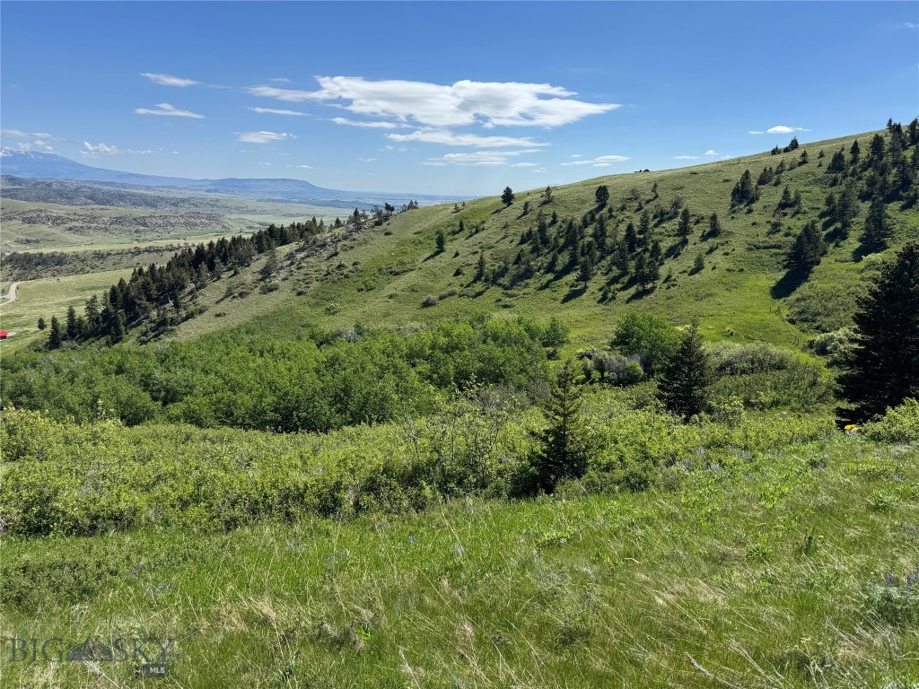 Yellowstone Basin Properties - Land