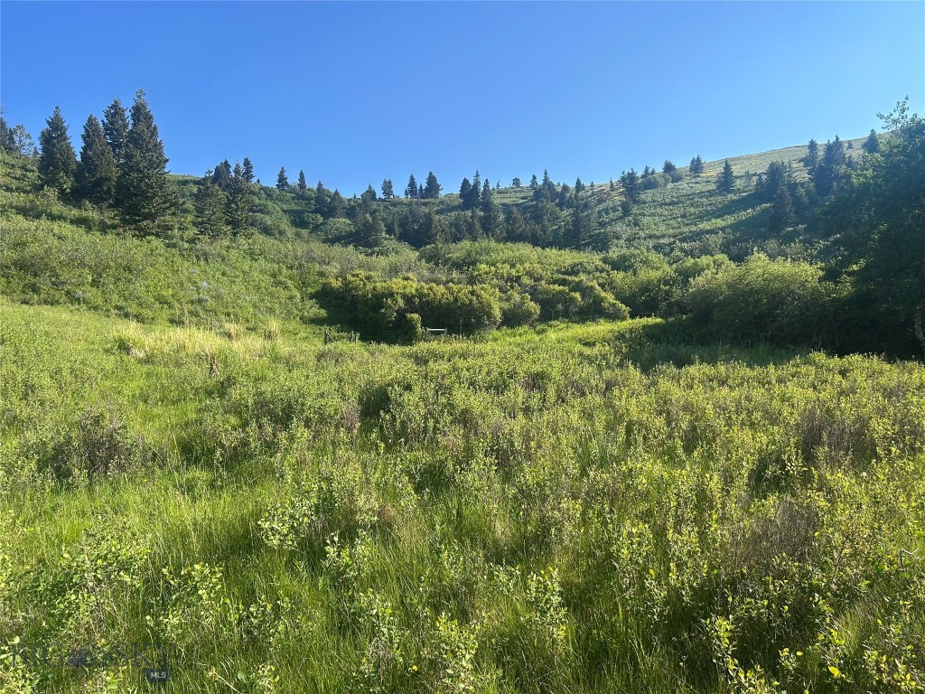 Yellowstone Basin Properties - Land