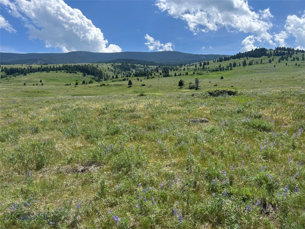 Yellowstone Basin Properties - Land