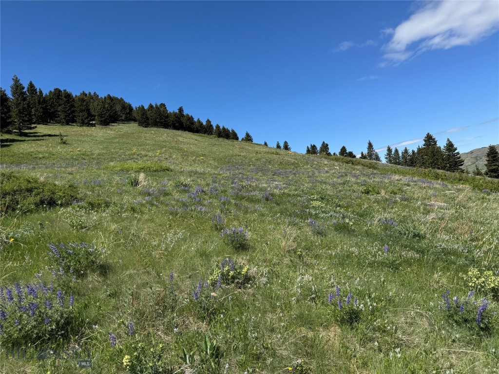 Yellowstone Basin Properties - Land