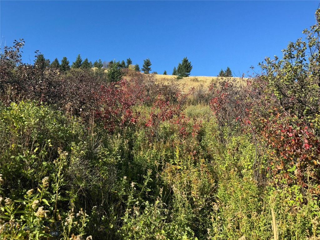 Yellowstone Basin Properties - Land