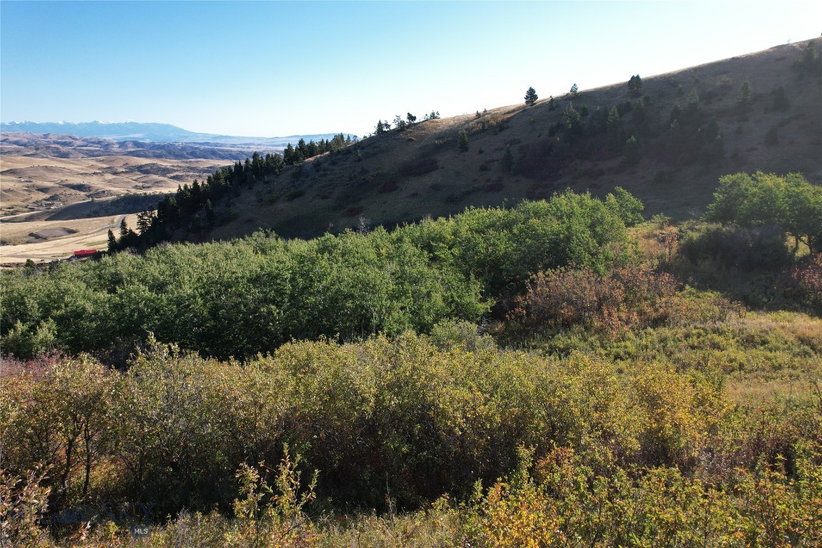 Yellowstone Basin Properties - Land