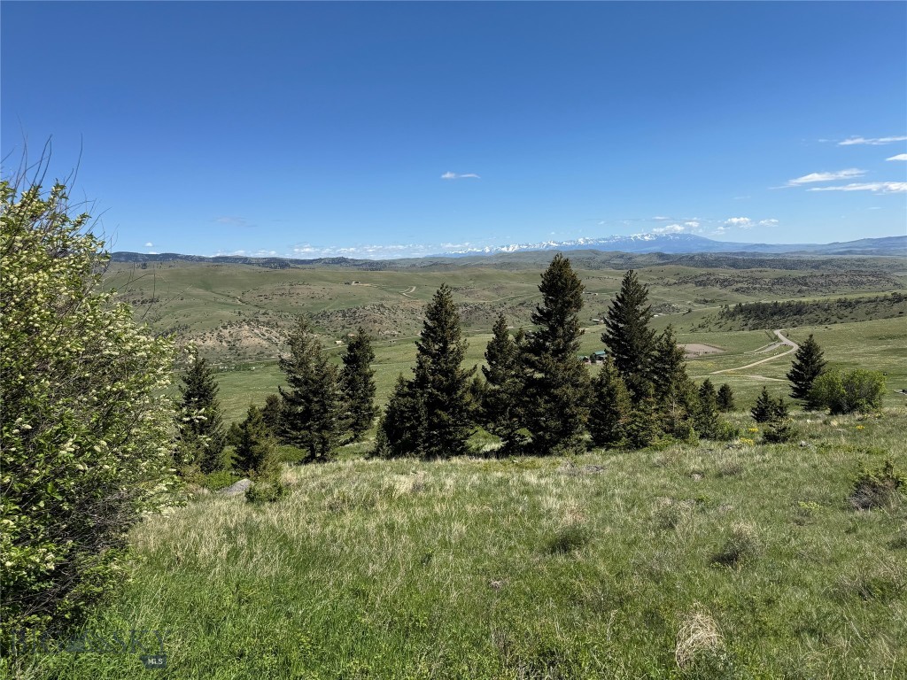 Yellowstone Basin Properties - Land