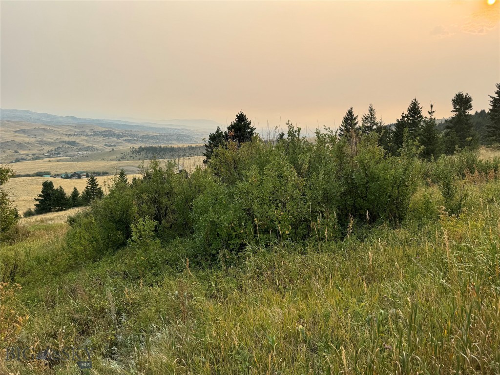 Yellowstone Basin Properties - Land