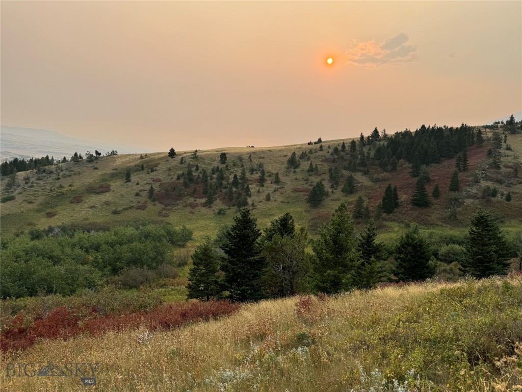 Yellowstone Basin Properties - Land