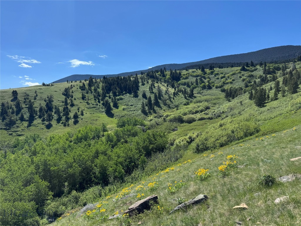 Yellowstone Basin Properties - Land
