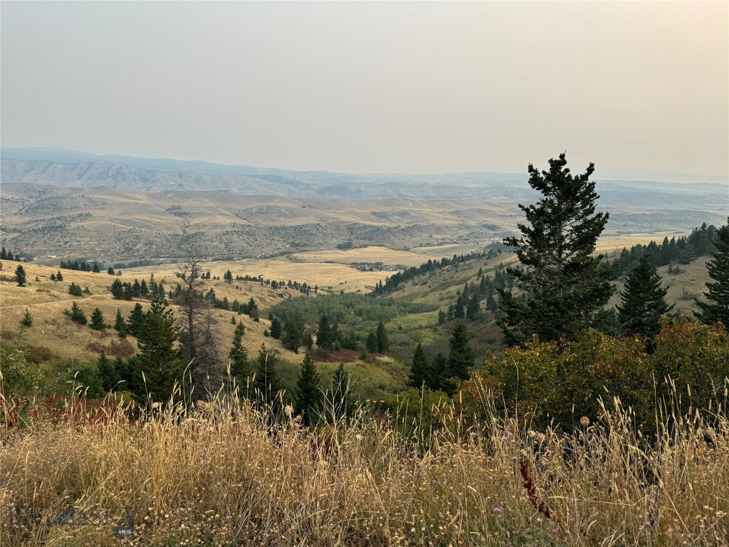 Yellowstone Basin Properties - Land