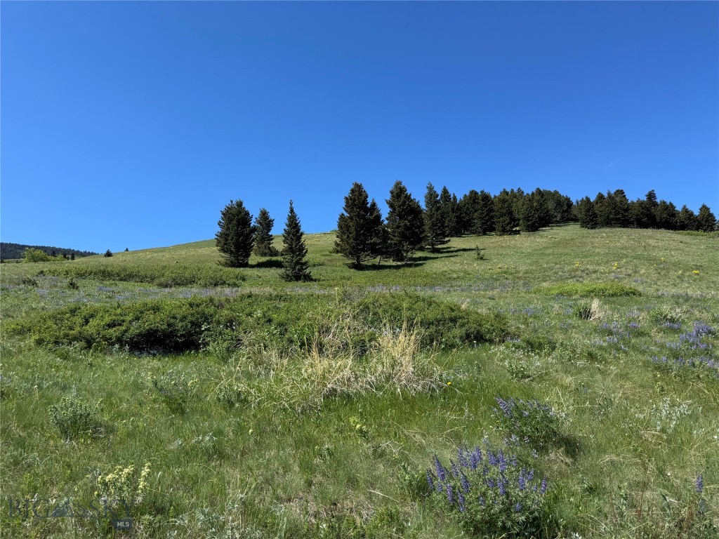 Yellowstone Basin Properties - Land