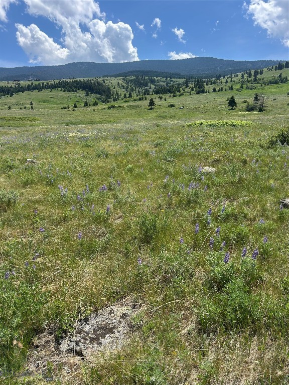 Yellowstone Basin Properties - Land