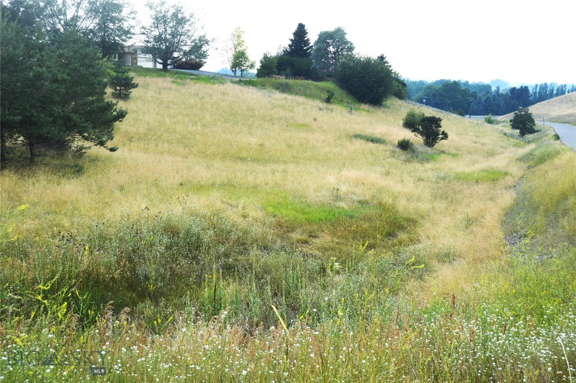 Wheatland Hills - Land