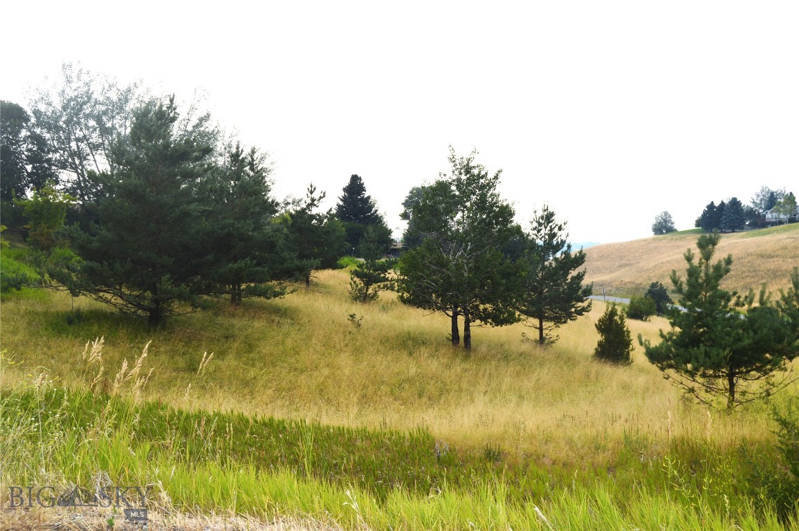 Wheatland Hills - Land