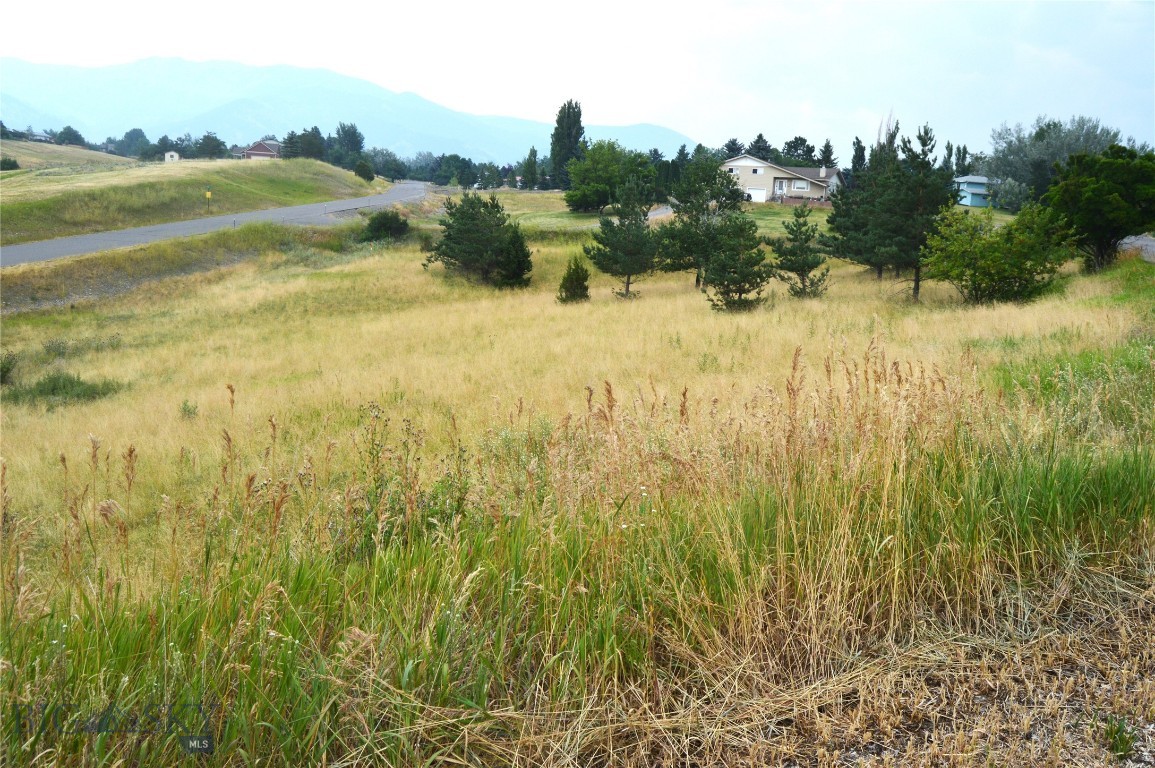Wheatland Hills - Land