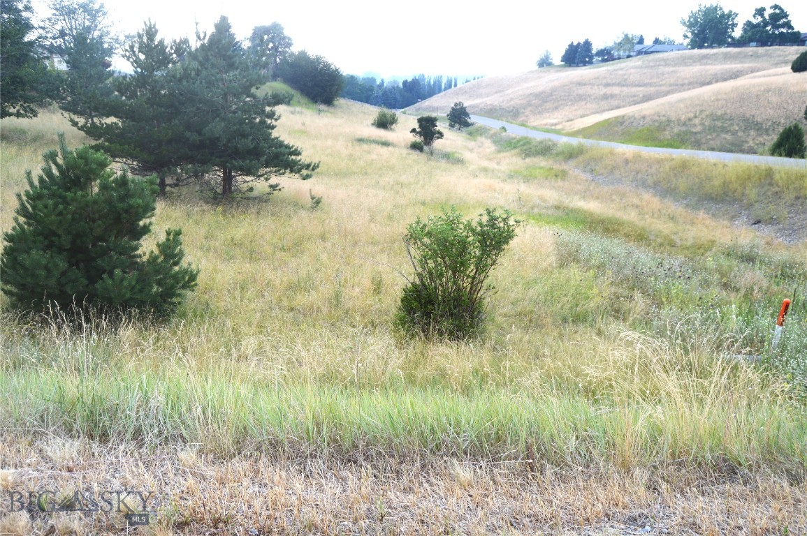 Wheatland Hills - Land
