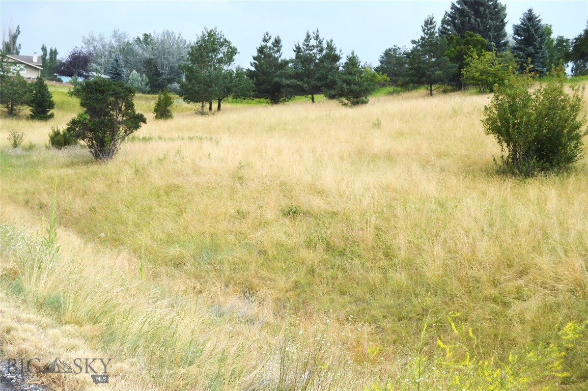 Wheatland Hills - Land