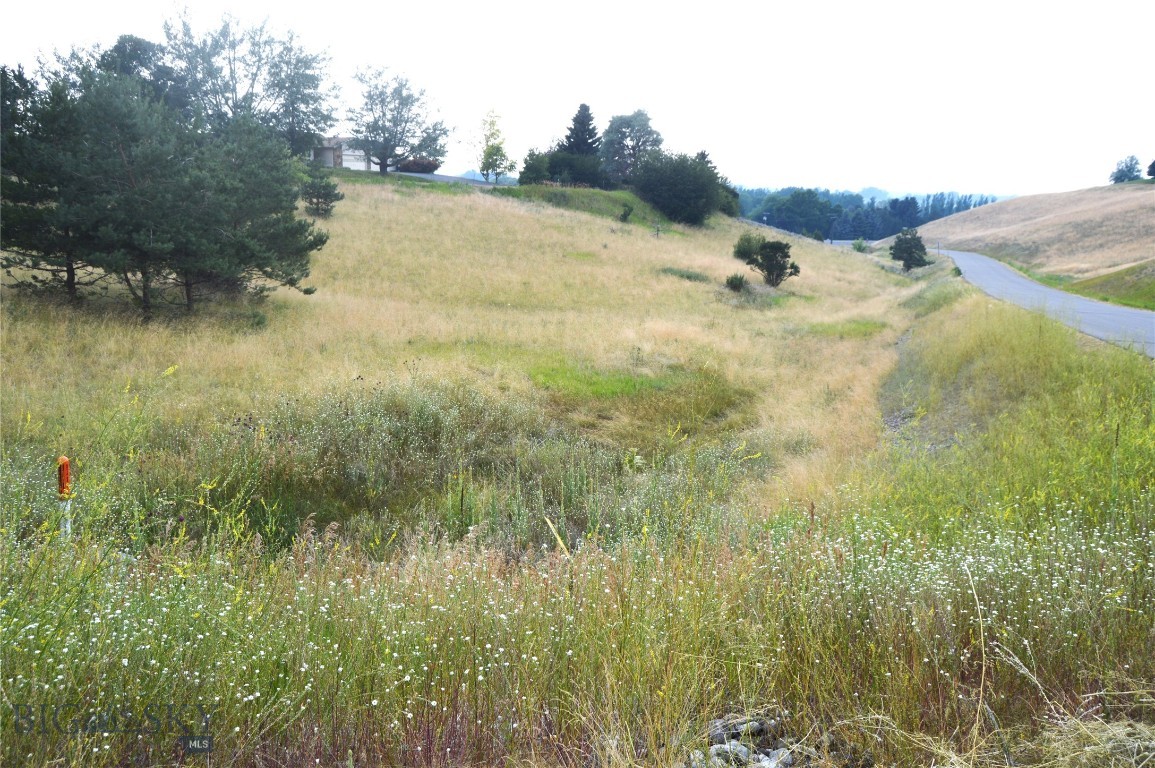 Wheatland Hills - Land