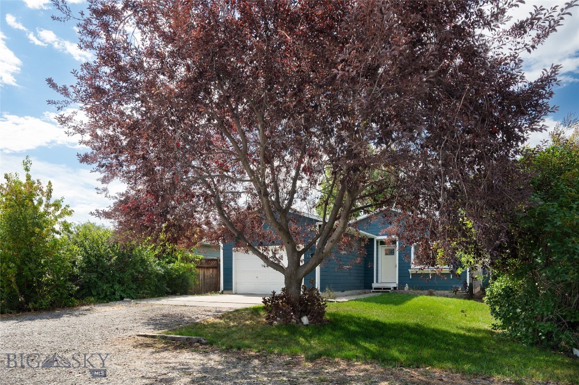 Step inside this freshly updated Belgrade 4 bedroom charmer and you’ll instantly feel at home. There isn't a whole more lot that can be offered in the Gallatin Valley at this price that provides a single family home, 4 bedrooms, fantastic fenced yard, garage, additional shop out back, extra RV/boat/TOY parking, that has been updated and cared for like this! These Sellers have replaced the roof, windows, doors, appliances, cabinets, paint, floors and more! Thoughtfully renovated with modern finishes, this home features stylish flooring, sleek fixtures, and a light, airy feel throughout. The open layout flows effortlessly, making it perfect for both everyday living and entertaining. This is an updated home with alot of bedrooms, updated style, and has flexibility to LIVE like a true Montanan! Out back, you’ll find the separate shop—ideal for projects, extra storage, or even your own creative retreat. The spacious yard offers plenty of room to relax, garden, or play, and with no known covenants, you can truly make the space your own. There’s also ample parking for RVs, boats, and all your outdoor toys, making it a rare find for those who love adventure while not having to spend the extra cash parking and storing the "things!"
Perfectly located near schools, parks, and downtown Belgrade amenities, this home delivers style, functionality, and freedom you won’t find everywhere else. At one of the most affordable 4 bedroom single family home prices out there, hurry in and make this place your HOME SWEET MONTANA HOME!