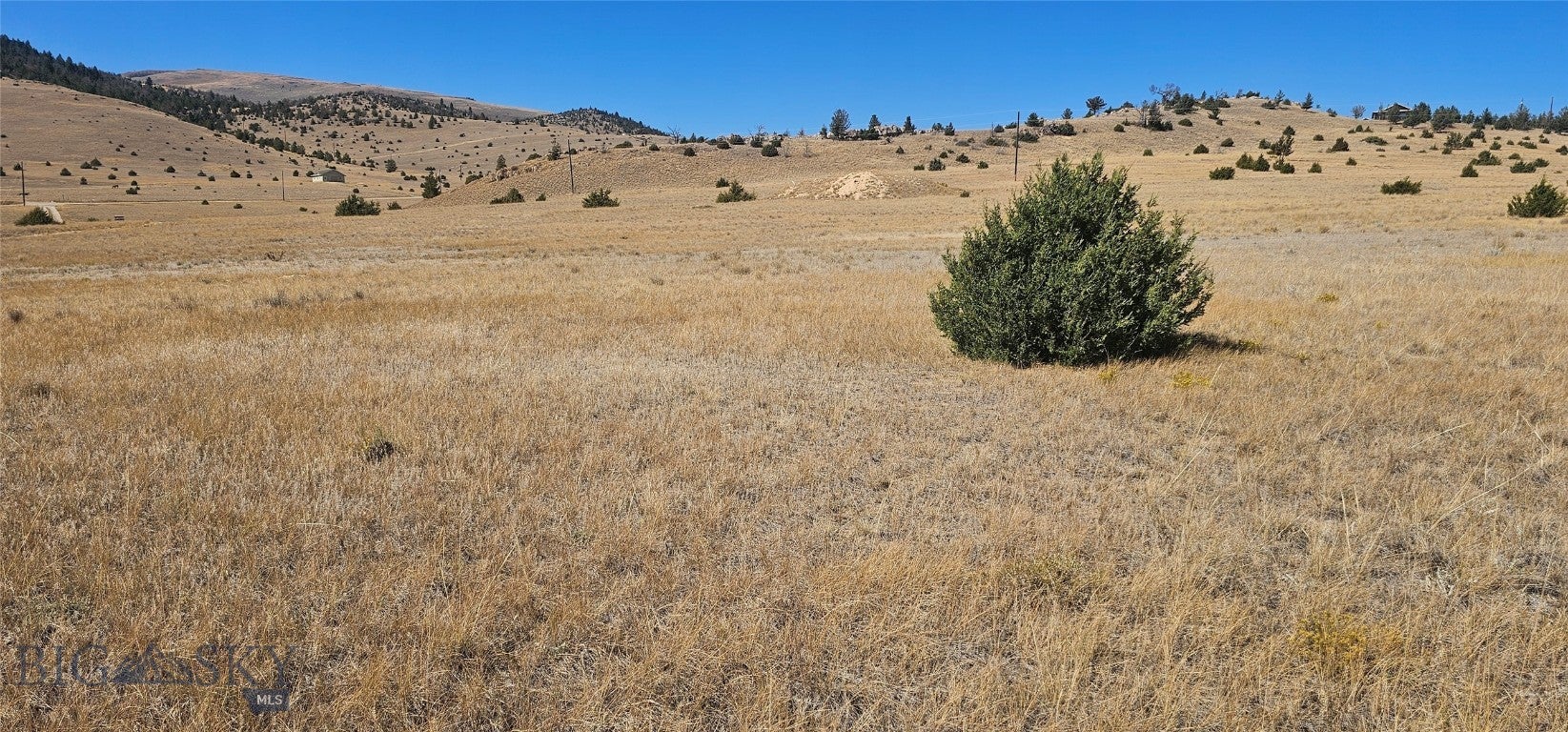 Lot 232 Spur Trail