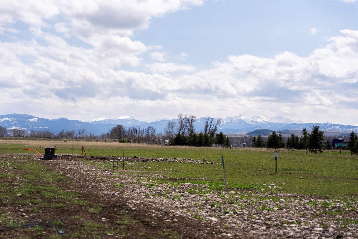 Gallatin Meadows - Land