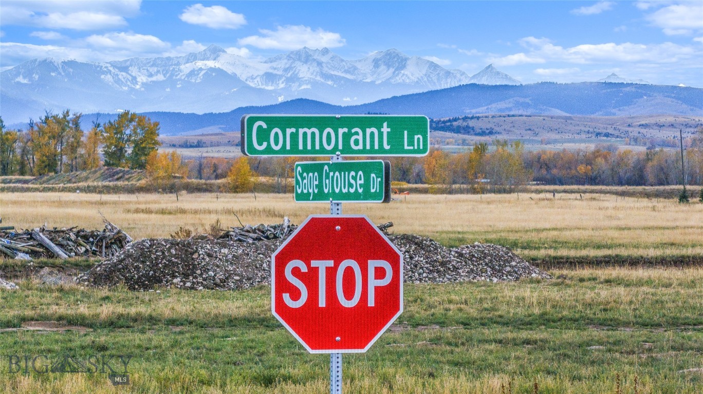 TBD Sage Grouse Drive