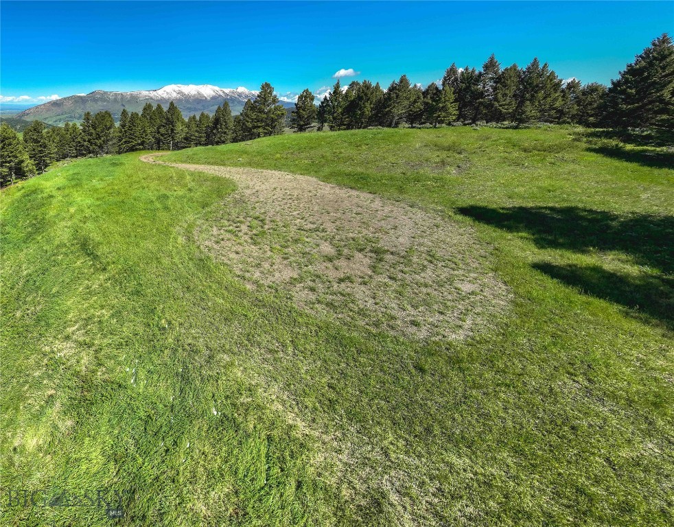 North Pass Ranches - Farm