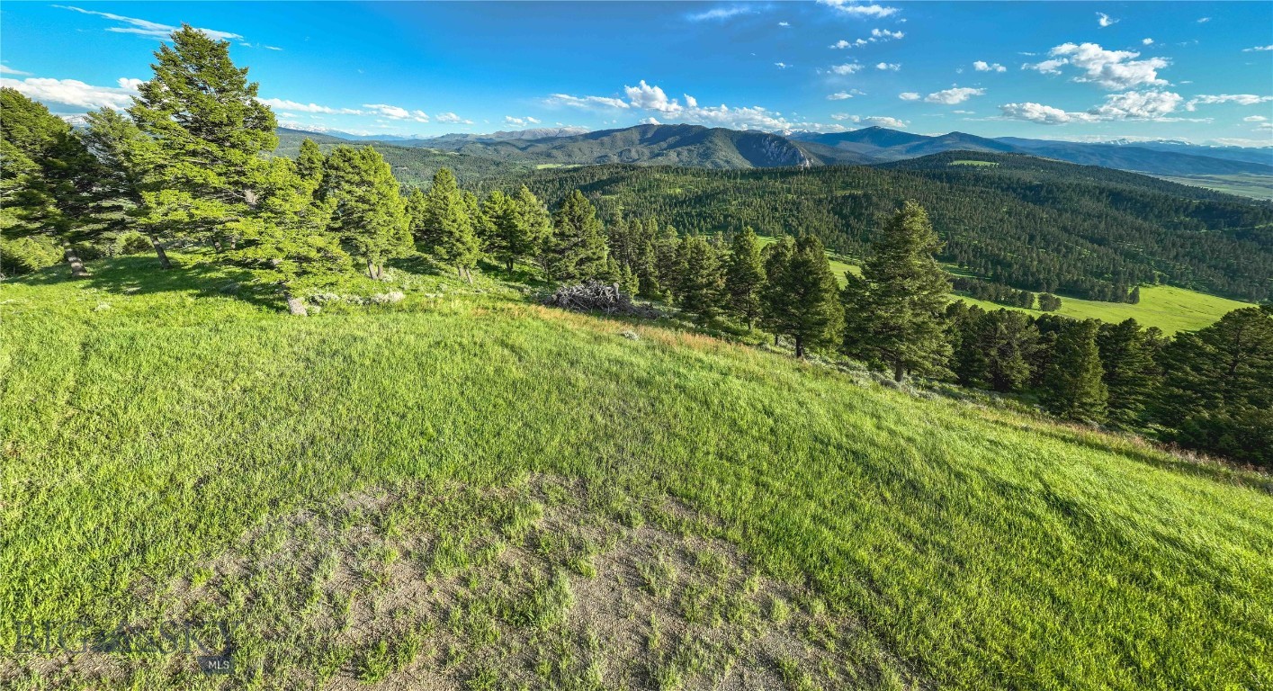 North Pass Ranches - Farm