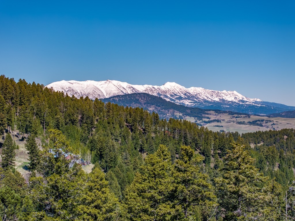Timberline Creek - Residential