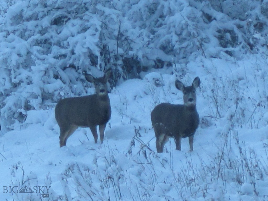 Quinn Creek Properties - Residential