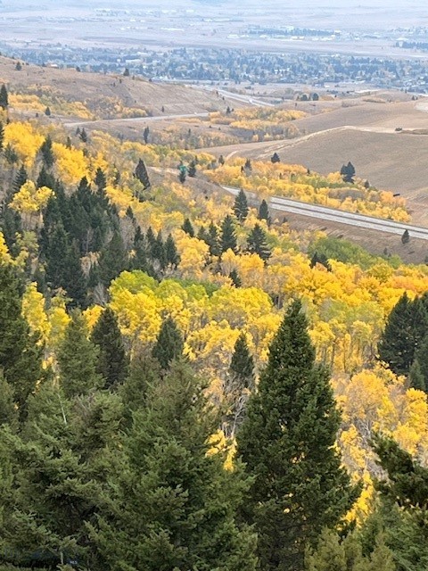 TBD XL Heights Road