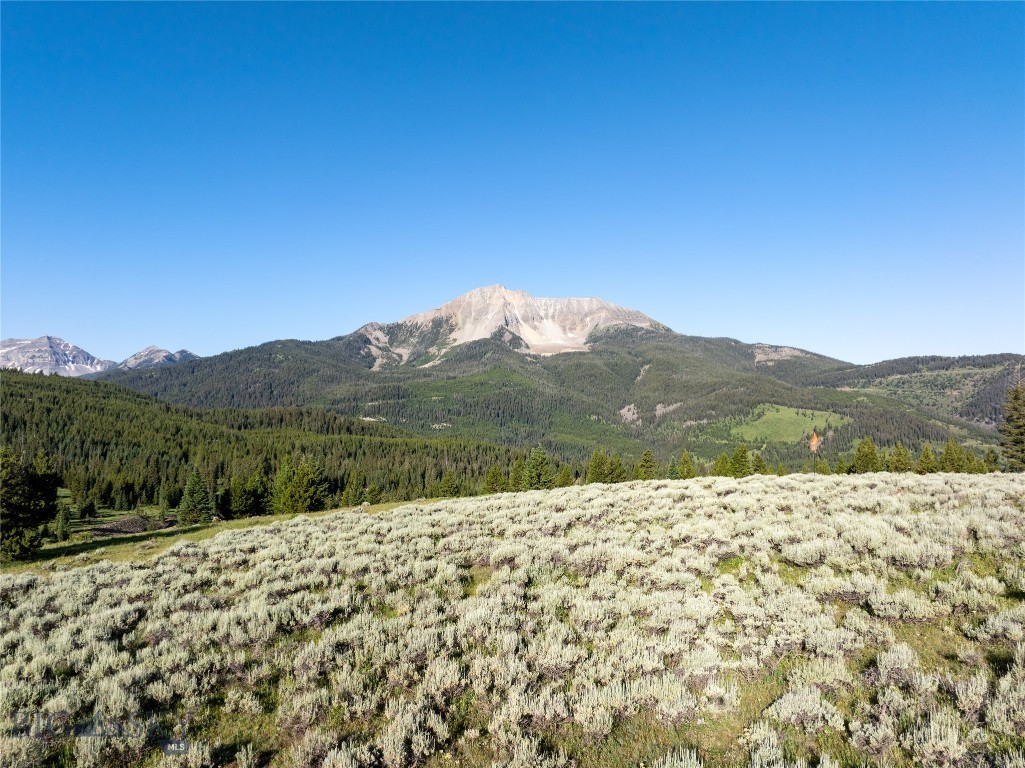 TBD White Wolf Trail Lot 2