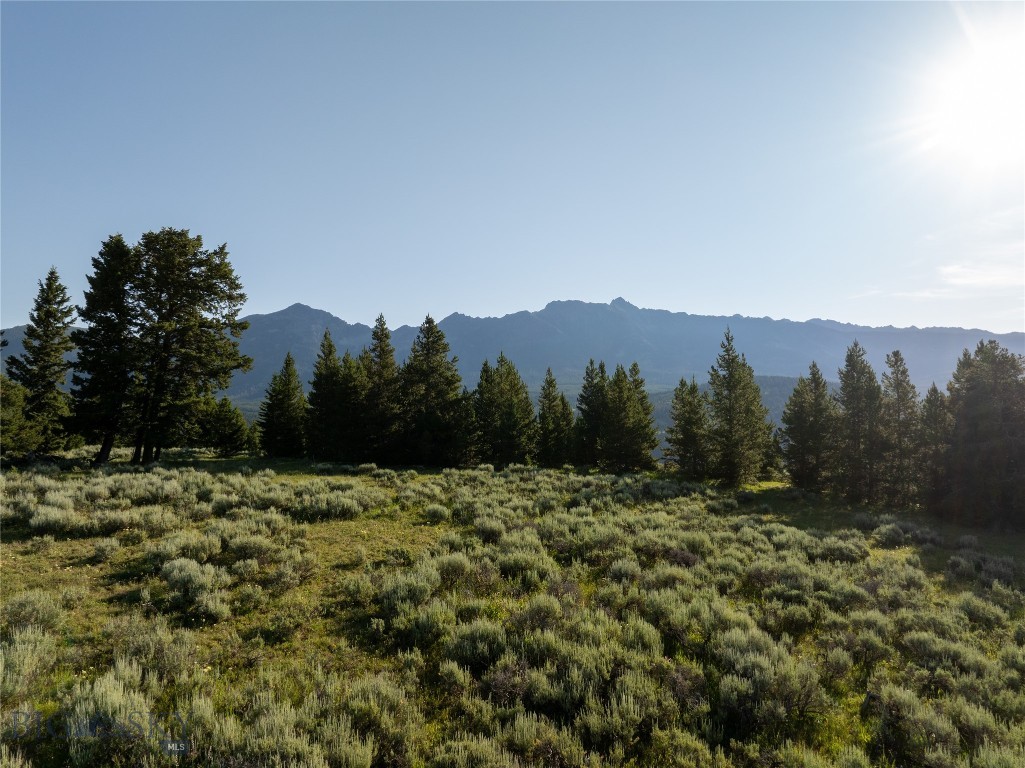 TBD White Wolf Trail Lot 2