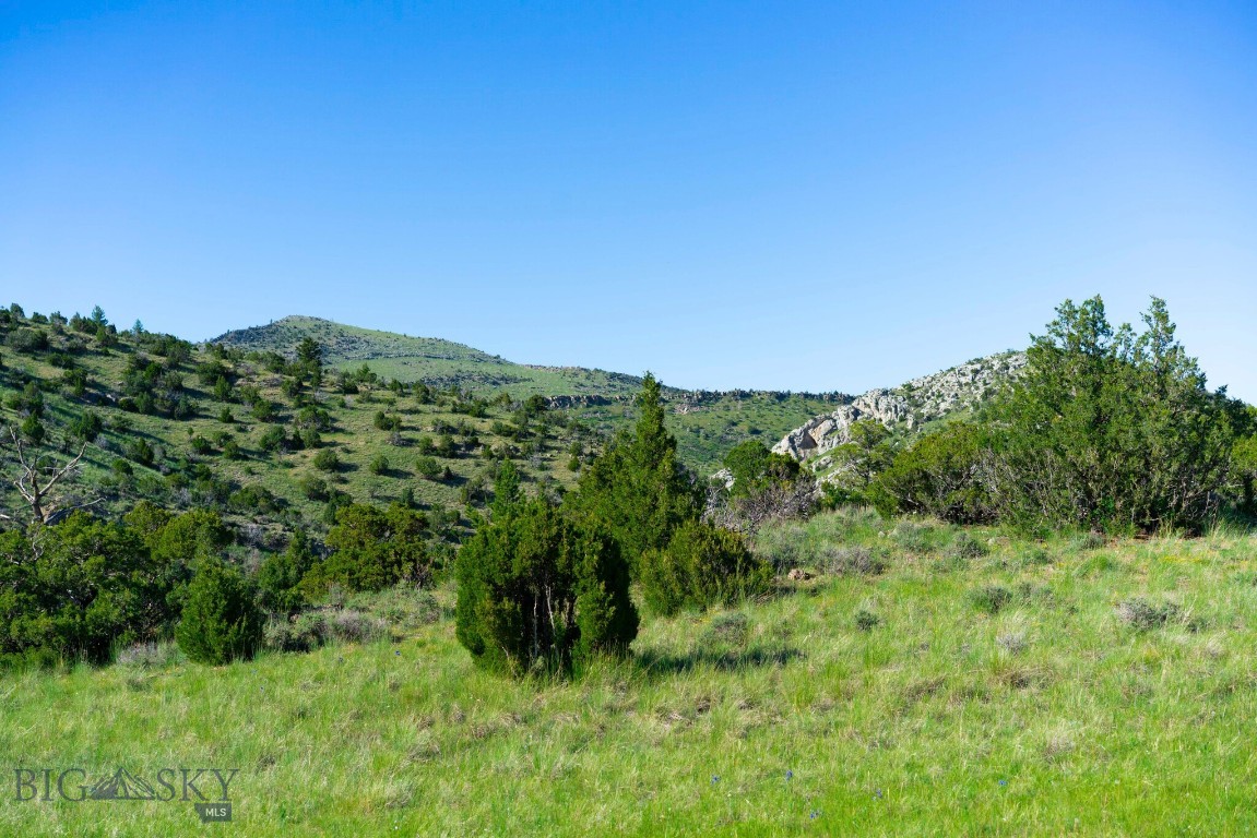 Gallatin River Ranch - Land