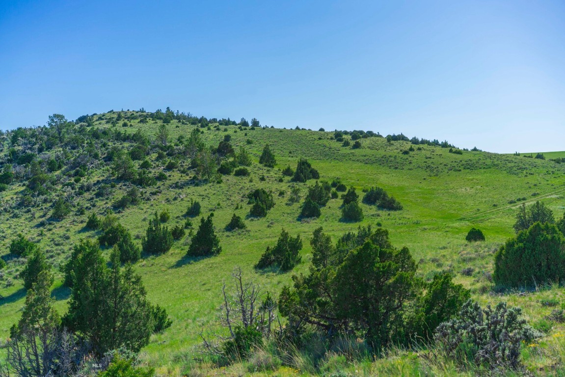 Gallatin River Ranch - Land