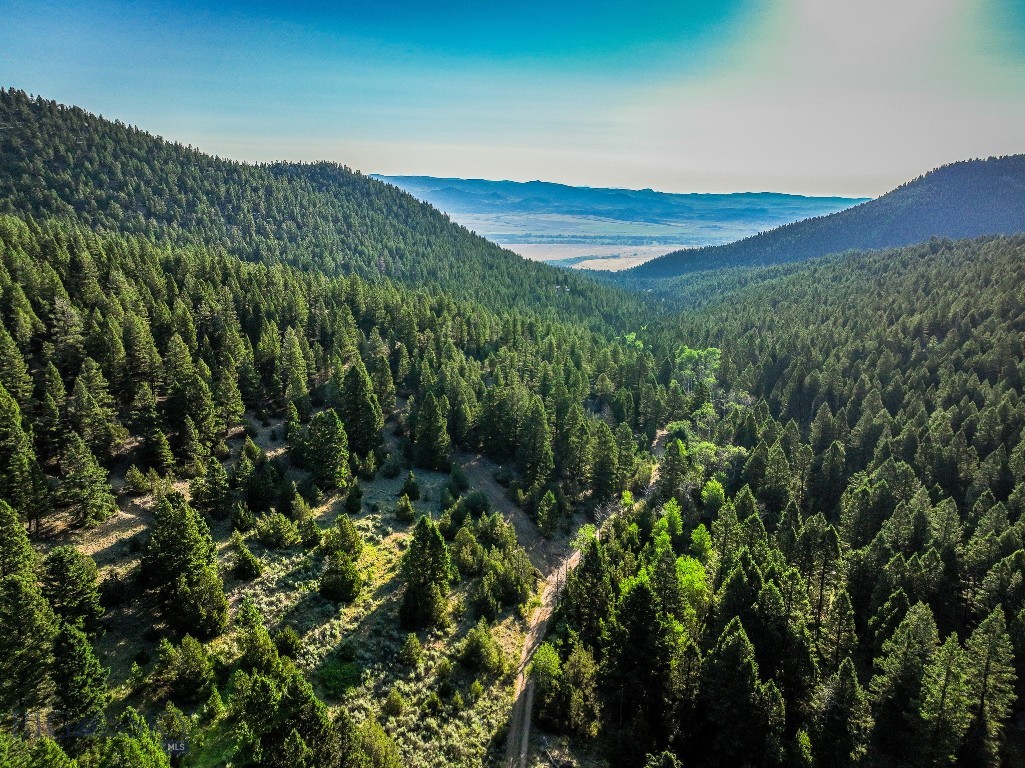 Other - Land