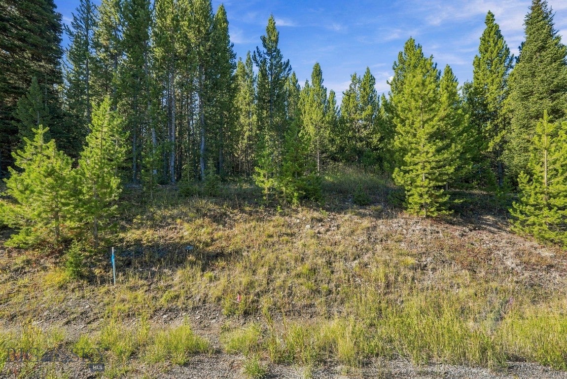 TBD Elk Meadow Trail