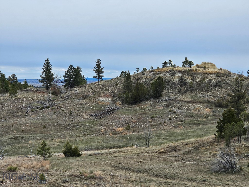 Other - Land