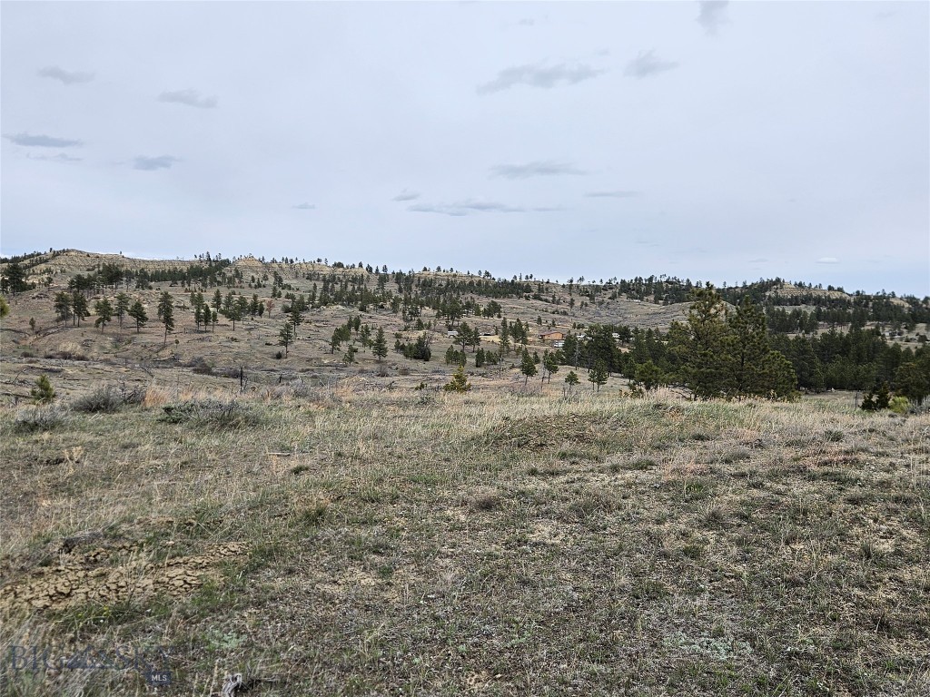 Other - Land