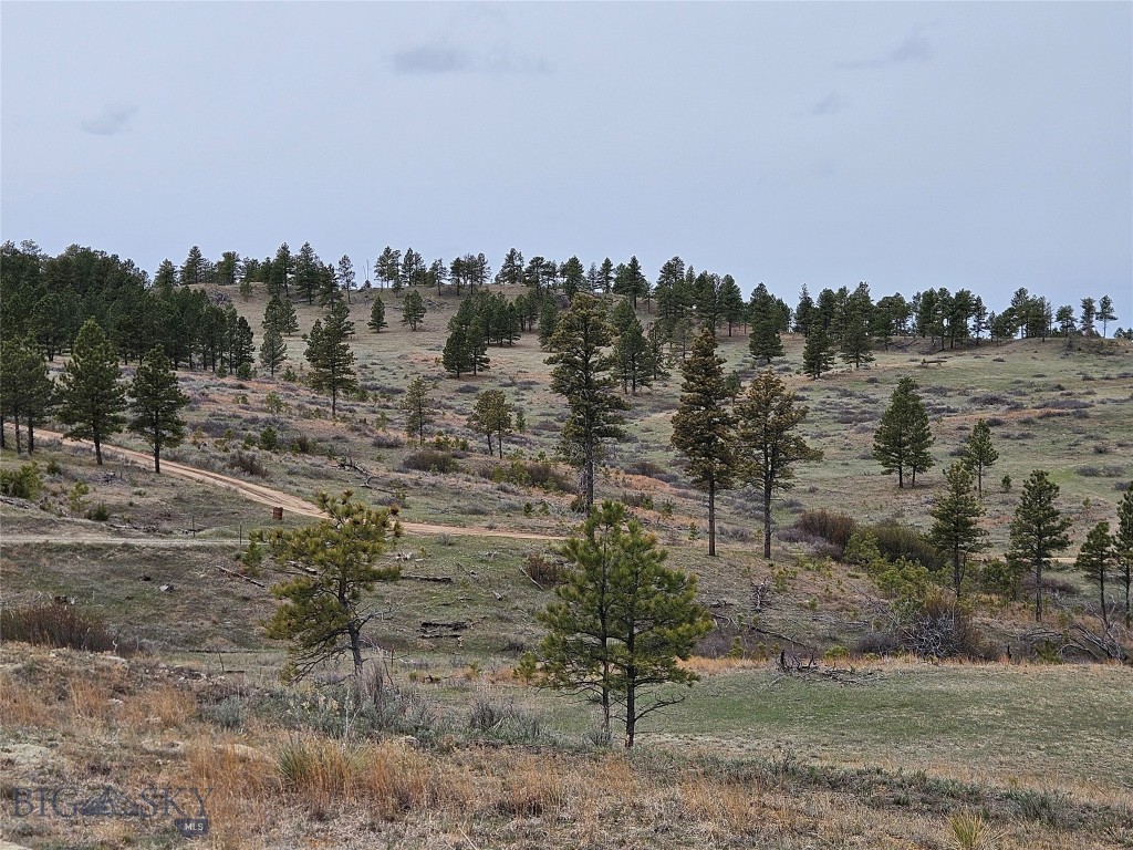 20.1 acres, seller financing available! Power, county road access, North Fork of Six Mile Creek. Big views or seclusion from a variety of potential building sites. Thousands of acres of public land within minutes. Roughly 45 minutes to the thriving metropolis of Miles City, Montana!