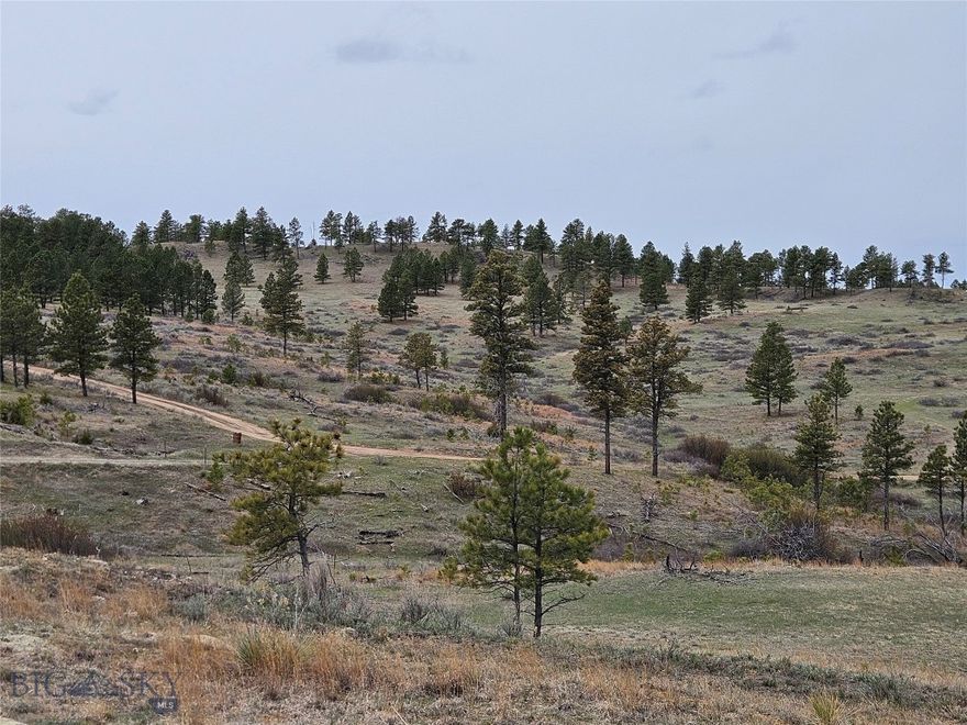 20.1 acres, seller financing available! Power, county road access, North Fork of Six Mile Creek. Big views or seclusion from a variety of potential building sites.  Thousands of acres of public land within minutes.  Roughly 45 minutes to the thriving metropolis of Miles City, Montana!