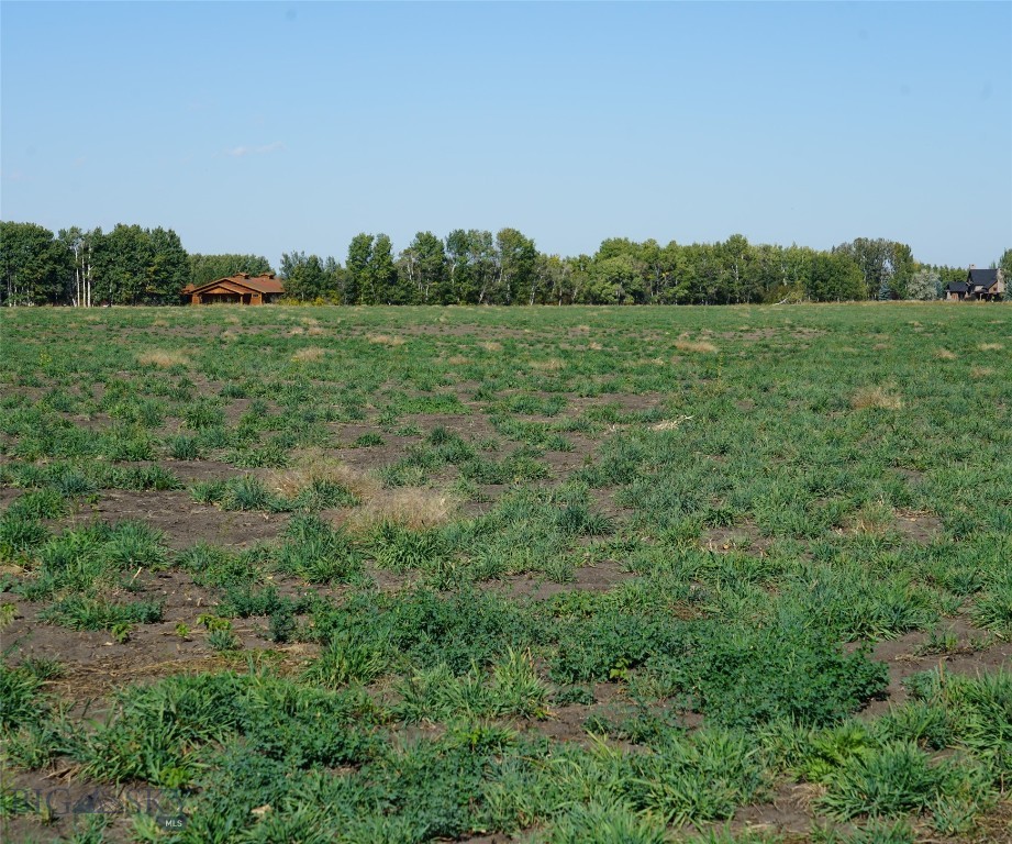 Bozeman, Montana 59715, United States, ,Land,Contingent,35334