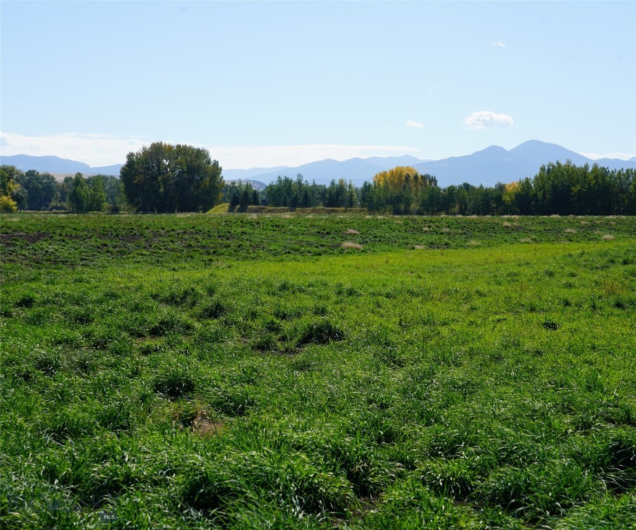 Bozeman, Montana 59715, United States, ,Land,Contingent,35334