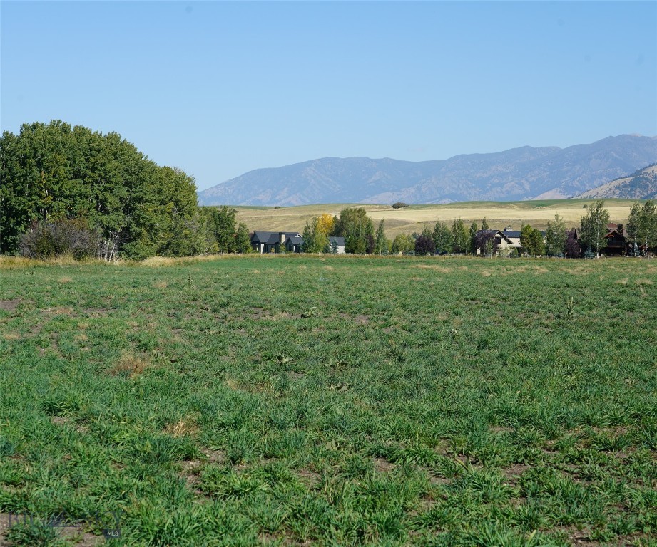 Bozeman, Montana 59715, United States, ,Land,Contingent,35334