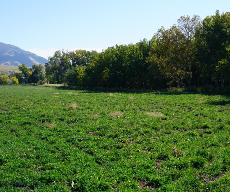 Bozeman, Montana 59715, United States, ,Land,Contingent,35334