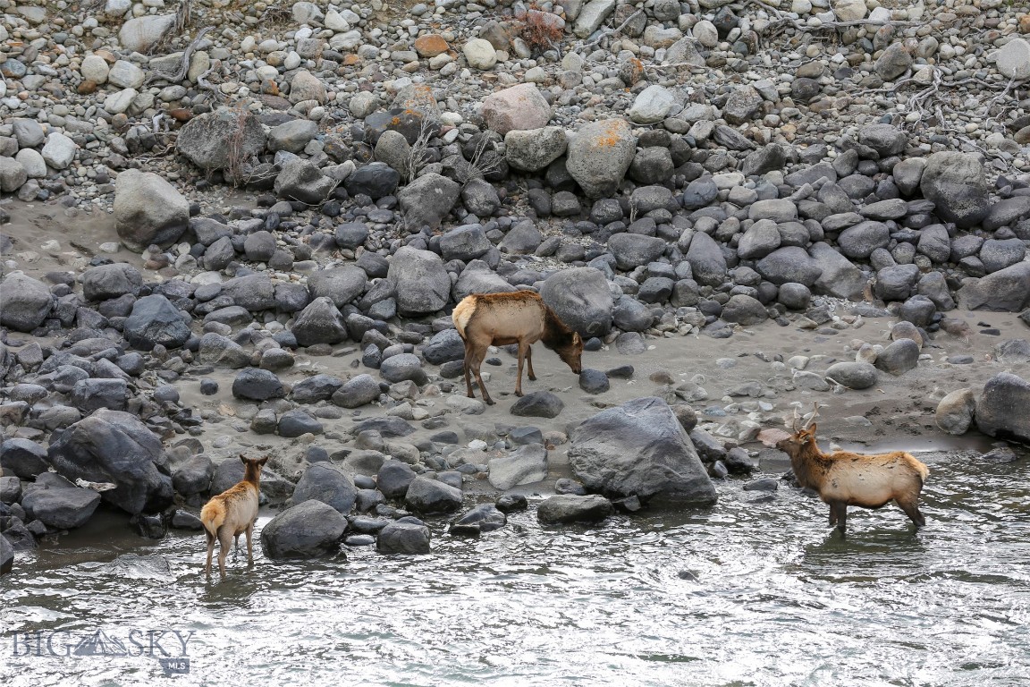 Bigelow - Residential